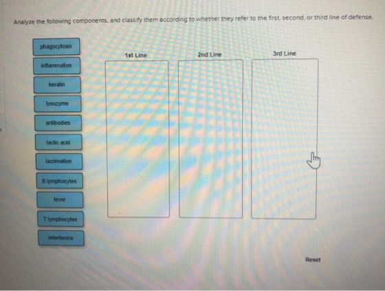 Analyze the following components, and classifty them according to whether they refer to the first second. or third line of de
