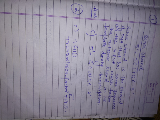 PAGE NO.: DATE: I I Sense stand d DNA that har sama uonoe Ina autisense Shand an its