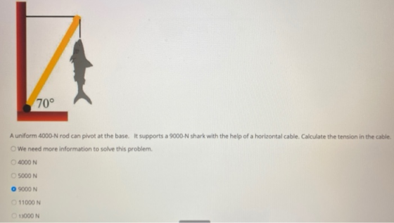 70° A uniform 4000-N rod can pivot at the base. It supports a 9000-N shark with the help of a horizontal cable. Calculate the