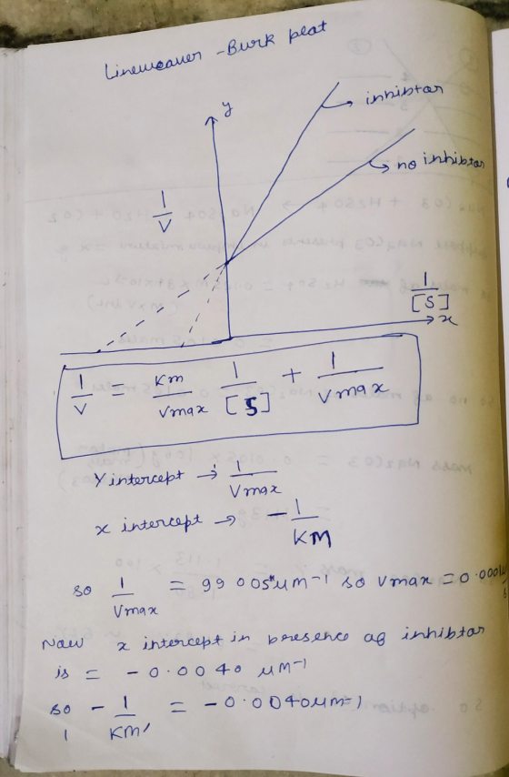 peat Lineweaner -Burk y t innistar no inhibion Km Vmax [5] on Vmax son Y intercept 1 V max intercept 2 KM so I = 99 oostumi s