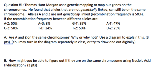 Question #1: Thomas Hunt Morgan used genetic mapping to map out genes on the chromosomes. He found that alleles that are not genetically linked, can still be on the same chromosome. Alleles A and Z are not genetically linked (recombination frequency is 50%) If the recombination frequency between different alleles are: AZ: 50% G-Z: 50% A-G: 8% T-D: 24% G-T: 39% TZ: 50% A-T: 47% DZ: 25% A. Are A and Z on the same chromosome? Why or why not? Use a diagram to explain this. (3 pts) (You may turn in the diagram separately in class, or try to draw one out digitally). B. How might you be able to figure out if they are on the same chromosome using Nucleic Acid Hybridization? (3 pts)
