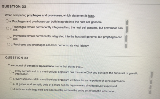 QUESTION 22 When comparing prophages and proviruses, which statement is false. Ca. Prophages and proviruses can both integrat