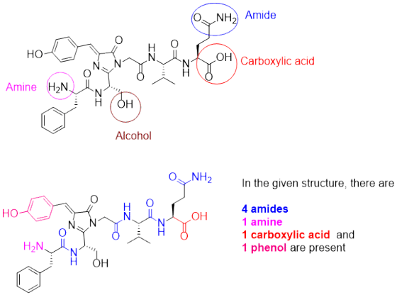 OYNH) Amide H O HO OH Carboxylic acid Amine H2NL Alcohol O NH2 In the given structure, there are 4 amides 1 carboxylic acid and H O HO OH amine 1 phenol are present H OH