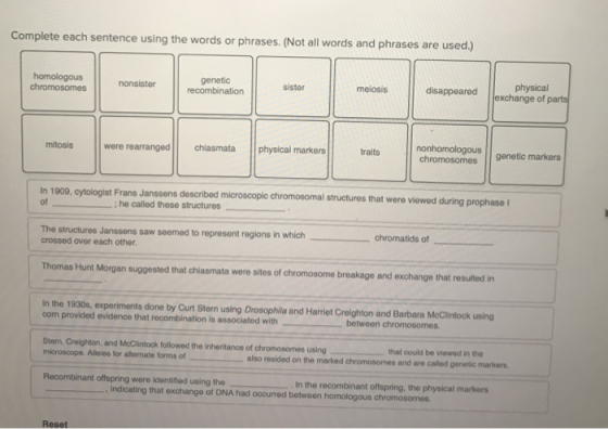 Complete each sentence using the words or phrases. (Not all words and phrases are used.) homologous chromosomes nonsister gen