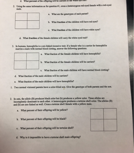 d. What percent of the offspring will be carriers of the white yel! 2. Using the same information as for question #1, cross a