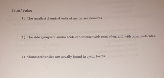 True/False 1) The smallest chemical units of matter are elements. 2) The side groups of amino acids can interact with each ot