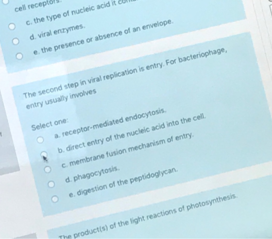 o o cell receptors, c, the type of nucleic acid it cell d viral enzymes e, the presence or absence of an envelope. The second