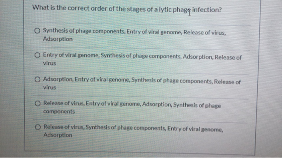 What is the correct order of the stages of alytic phagą infection? Synthesis of phage components, Entry of viral genome, Rele