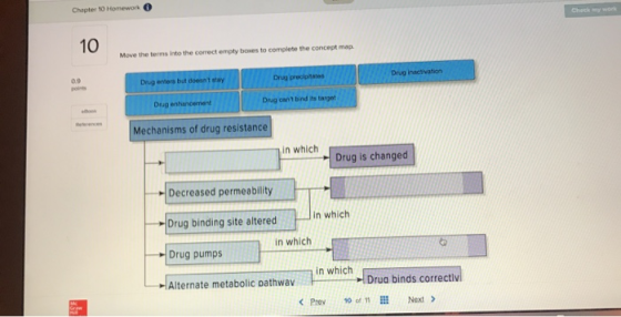 Chapter 10 Homework Check my work 10 Move the terms into the correct empty boxes to complete the concept map. Drug precios Dr