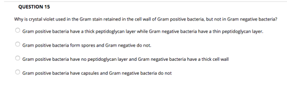 QUESTION 15 Why is crystal violet used in the Gram stain retained in the cell wall of Gram positive bacteria, but not in Gram