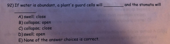 92) If water is abundant, a plants guard cells will _ and the stomata will A) swell; close B) collapse; open C) collapse; cl