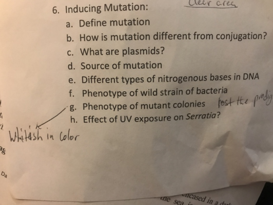 Clear area 6. Inducing Mutation: a. Define mutation b. How is mutation different from conjugation? c. What are plasmids? d. S