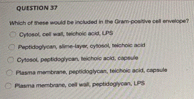 QUESTION 37 Which of these would be included in the Gram-positive cell envelope? Cytosol, cell wall, teichoic acid, LPS Pepti