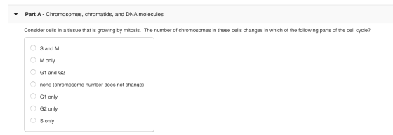 Part A - Chromosomes, chromatids, and DNA molecules Consider cells in a tissue that is growing by mitosis. The number of chro