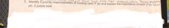 3 Identify s priority responsibilites of nursing care a po) and explain the importance of each pt). 2 points total
