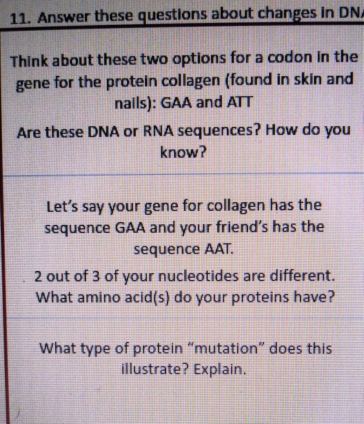 11. Answer these questions about changes in DN, Think about these two options for a codon in the gene for the protein collage