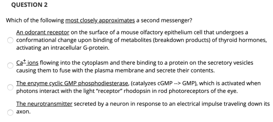 QUESTION 2 Which of the following most closely approximates a second messenger? An odorant receptor on the surface of a mouse