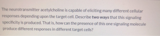 The neurotransmitter acetylcholine is capable of eliciting many different cellular responses depending upon the target cell.