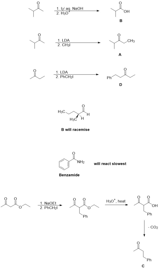 1. 12/ aq. NaOH 2. Нзо ОН В 1. LDA 2. CH3 CH3 А 1. LDA 2. PHCH2 Ph D НзС. Н Нзс Н B will racemise NH2 will react slowest Benz