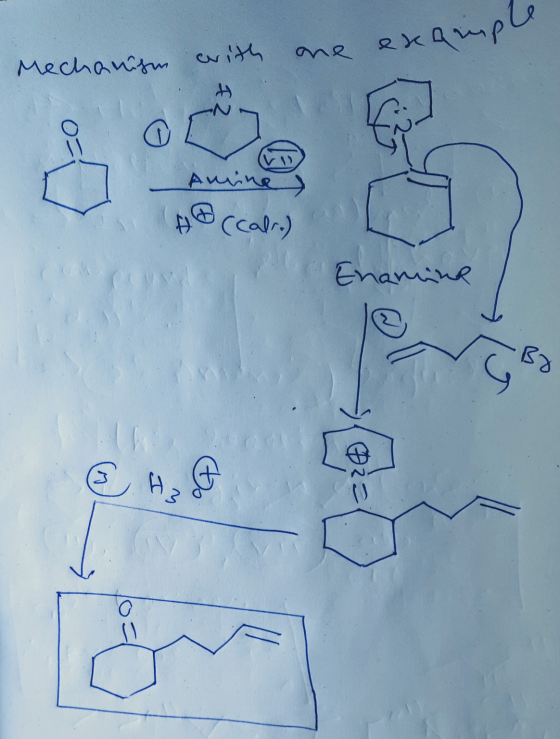 example Mechanism со Amine Ho (calro) Enamine на $ ()
