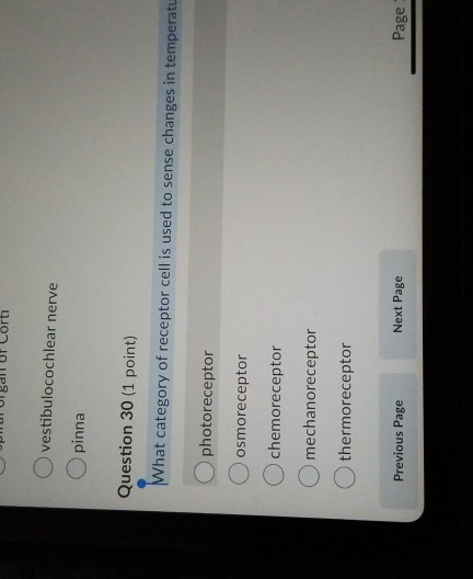 ort vestibulocochlear nerve pinna Question 30 (1 point) What category of receptor cell is used to sense changes in temperatu
