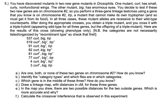 5.) You have discovered mutants in two new gene mutants in Drosophila. One mutant, curl, has small, curly, nonfunctional wing