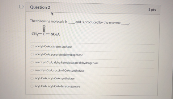 Question 2 1 pts The following molecule is and is produced by the enzyme CH, -C- SCOA acetyl-CoA, citrate synthase acetyl-CoA