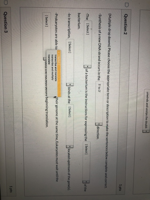 unwinds and unzips the doubk - Question 2 1 pts (Multiple drop downs) Please choose the appropriate term or description to ma