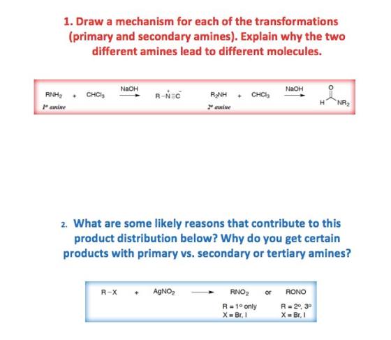 1. Draw a mechanism for each of the transformations (primary and secondary amines). Explain why the two different amines lead