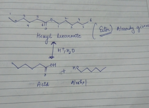 7 Ester) Already giver Hexyl hexanoate H1,HD AOH + - Acid Alesho