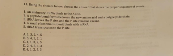 wong the choices below. choose the answer that shows the proper sequence of events 1. An aminoacyl-tRNA binds to the A site.