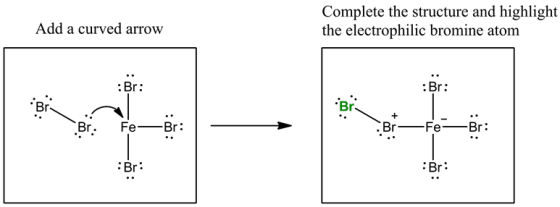 Complete the structure and highlight
the electrophilic bromine atom
Add a curved arrow
Br:
BI—F—BT:
