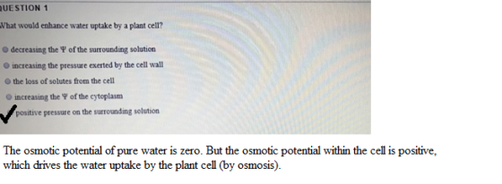 UESTION 1 What would enhance water uptake by a plant cell? Odecreasing the V of the surrounding solution O increasing the pre