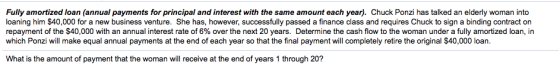 Fully amortized loan (annual payments for principal and interest with the same amount each year). Chuck Ponzi has talked an e