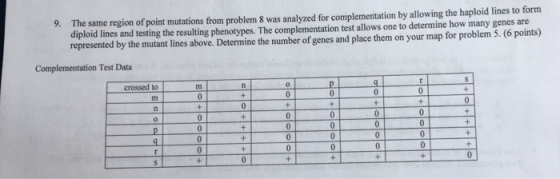 The same region of point mutations from problem 8 was analyzed for complementation by allowing the haploid lines to form dipl