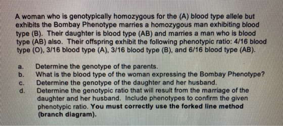 A woman who is genotypically homozygous for the (A) blood type allele but exhibits the Bombay Phenotype marries a homozygous