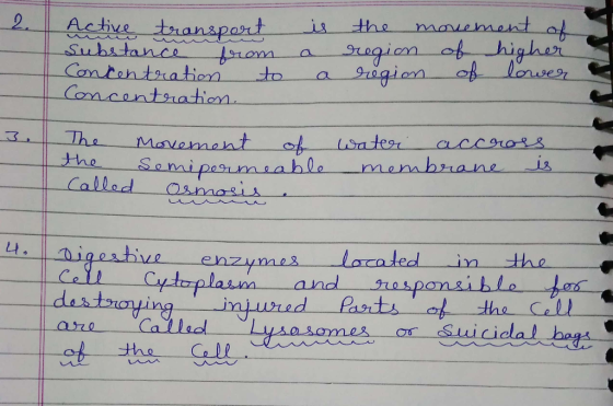 2 Active enzyme Lacatedin the at ths
