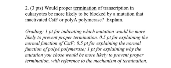 2. (3 pts) Would proper termination of transcription in eukaryotes be more likely to be blocked by a mutation that inactivate