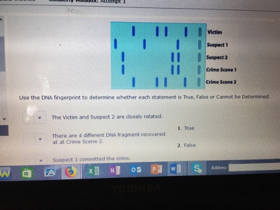 III Victim Suspect 1 Suspect 2 Crime Scene 1 Crime Scene 2 Use the DNA fingerprint to determine whether each statement is True,. False or Cannot be Determined. The Victim and Suspect 2 are closely related. 1. True There are 4 different DNA fragment recovered at at Crime Scene 2 2. False Suspect 1 committed the crime Address