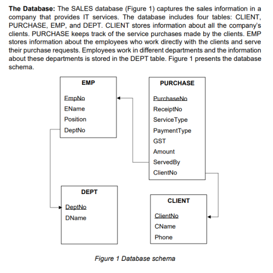 The Database: The SALES database (Figure 1) captures the sales information in a company that provides IT services. The databa