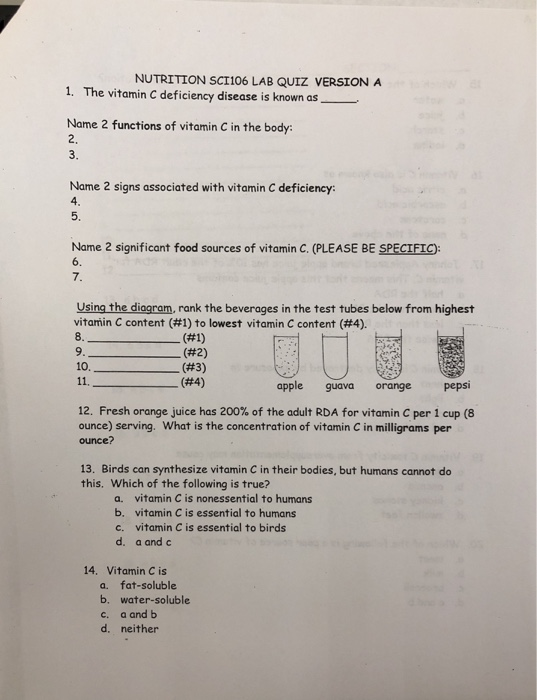 NUTRITION SCI106 LAB QUIZ VERSION A 1. The vitamin C deficiency disease is known as Name 2 functions of vitamin C in the body 2. 3. Name 2 signs associated with vitamin C deficiency 4 5. Name 2 significant food sources of vitamin C. (PLEASE BE SPECIFIC 6. 7. Using the diogram, rank the beverages in the test tubes below from highest vitamin C content (#1) to lowest vitamin C content (#4). (#2) (#3) 9. 10. apple guava orange pepsi 12, Fresh orange juice has 200% of the adult RDA for vitamin C per 1 cup (8 ounce) serving. What is the concentration of vitamin C in milligrams per ounce? 13. Birds can synthesize vitamin C in their bodies, but humans cannot do this. Which of the following is true? a. b. c. d. vitamin C is nonessential to humans vitamin C is essential to humans vitamin C is essential to birds a and c 14. Vitamin C is a. fat-soluble b. water-soluble c. a and b d. neither