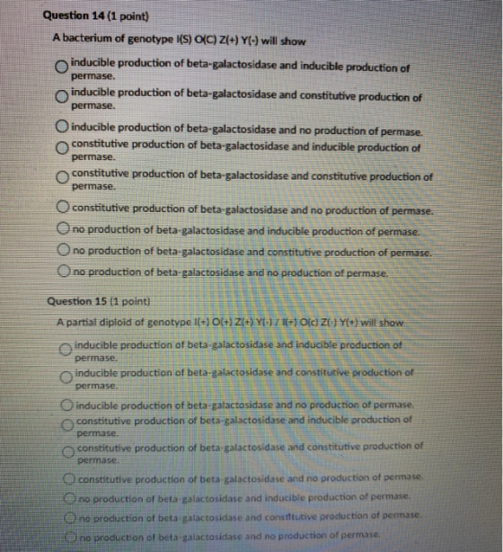 Question 14 (1 point) A bacterium of genotype (S) (C) Z(+) Y(-) will show inducible production of beta-galactosidase and indu
