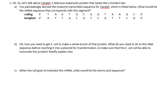 1. OK. So, lets talk about Candyp, a delicious eukaryotic protein that tastes like a Snickers bar. a) You painstakingly deri