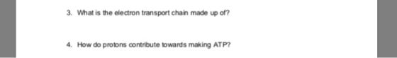 3. What is the electron transport chain made up of? How do protons contribute towards making ATP