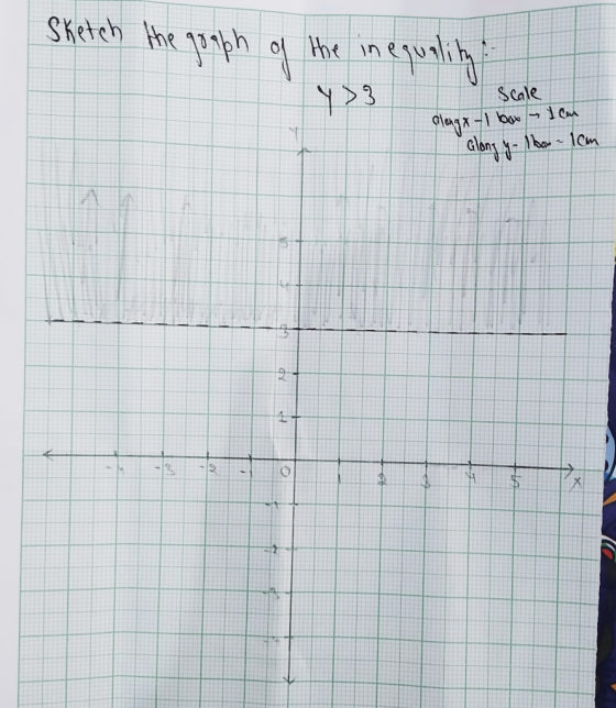 Sketch the gooph of the inequality Scale Glangx - I box 1cm along y-box-1cm