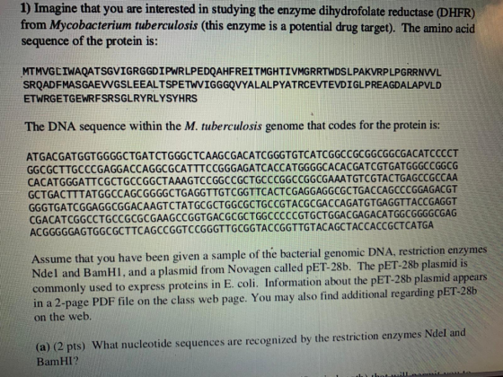 1) Imagine that you are interested in studying the enzyme dihydrofolate reductase (DHFR) from Mycobacterium tuberculosis (thi