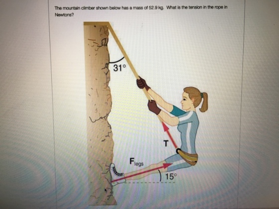 The mountain climber shown below has a mass of 52.