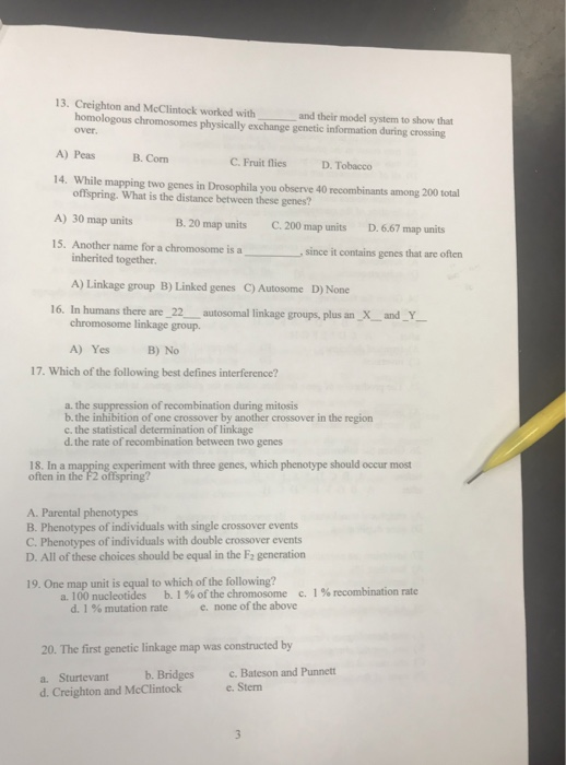 13. Creighton and McClintock worked with homologous chromosomes physically exchange genetic information during crossing over and their model system to show that A) Peas B. Corn 14. While mapping two genes in Drosophila you observe 40 recombinants among 200 total A) 30 map units 15. Another name for a chromosome is C. Fruit flies D. Tobacco offspring. What is the distance between these genes? B. 20 map units C200 map units D. 6.67 map units , since it contains genes that are often a inherited together A) Linkage group B) Linked genes C) Autosome D) None chromosome linkage group. A) Yes B) No 16. In humans there are 22 autosomal linkage groups, plus an X and Y 17. Which of the following best defines interference? a. the suppression of recombination during mitosis b. the inhibition of one crossover by another crossover in the region c. the statistical determination of linkage d. the rate of recombination between two genes 18. In a mapping experiment with three genes, which phenotype should occur most often in the F2 offspring? A. Parental phenotypes B. Phenotypes of individuals with single crossover events C. Phenotypes of individuals with double crossover events D. All of these choices should be equal in the F2 generation 19. One map unit is equal to which of the following? b.156 ofthe chromosome 1%recombination rate a loo nucleotides c. d,1% mutation rate e, none ofthe above 20. The first genetic linkage map was constructed by a. Sturtevant b. Bridges d. Creighton and McClintock c.Bateson and Punnett e.Stern