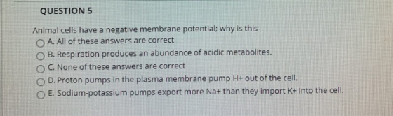 QUESTION 5 Animal cells have a negative membrane potential; why is this O A. All of these answers are correct B. Respiration
