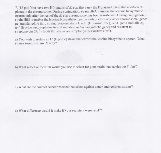 7. (12 pts) You have two Hfr strains of E. coli that carry the F plasmid integrated at different places in the chromosome. During conjugation, strain HfrA transfers the leucine biosynthetic operon only after the rest of the E. coli chromosome has been transferred. During conjugation, strain HfrB transfers the leucine biosynthetic operon early, before any other chromosomal genes get transferred. A third strain, recipient strain C is F (F plasmid free), recA (recA null allele), leu (leucine auxotroph due to null mutation in leu biosynthetic gene) and resistant to streptomycin (Str). Both Hfr strains are streptomycin-sensitive (Str) a) You wish to isolate an F (F prime) strain that carries the leucine biosynthetic operon. What strains would you use & why? b) What selective medium would you use to select for your strain that carries the F leu? o) What are the counter selections used that select against donor and recipient strains? d) What difference would it make if your recipient were recA?
